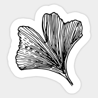 Ginkgo leaf Sticker